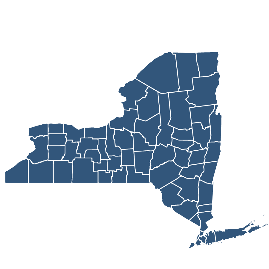 Access Free New York Public Records (Search Resource)